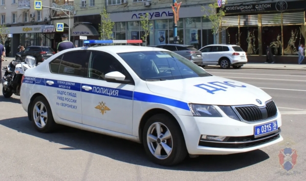 ДПС.